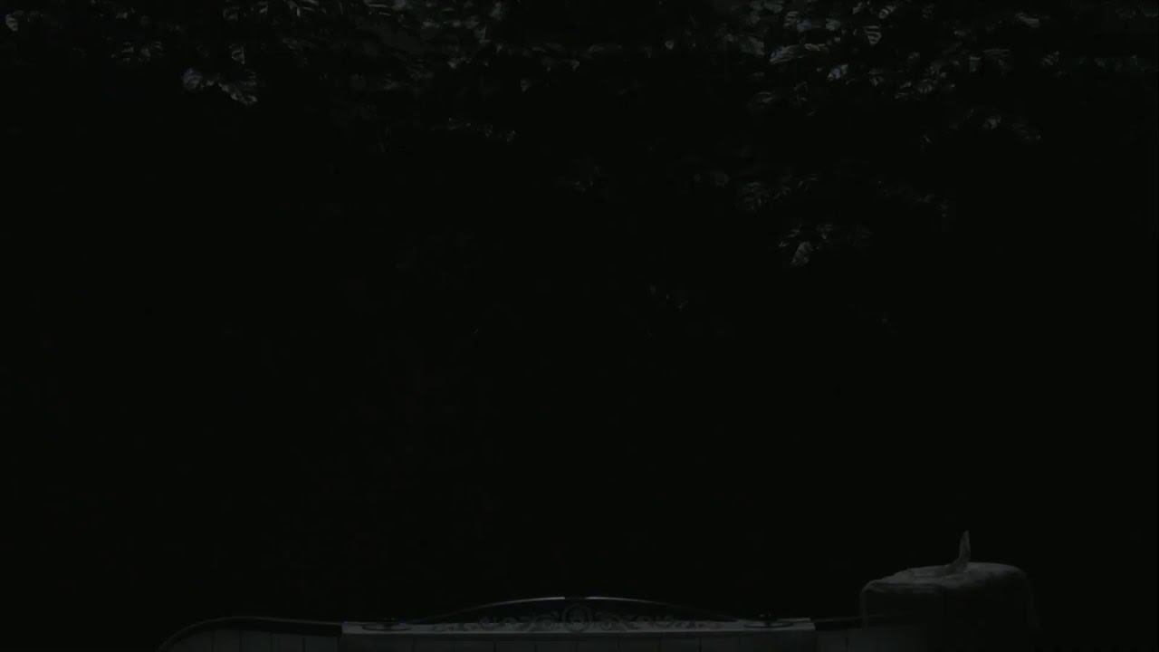 목동평광교회 실시간 방송