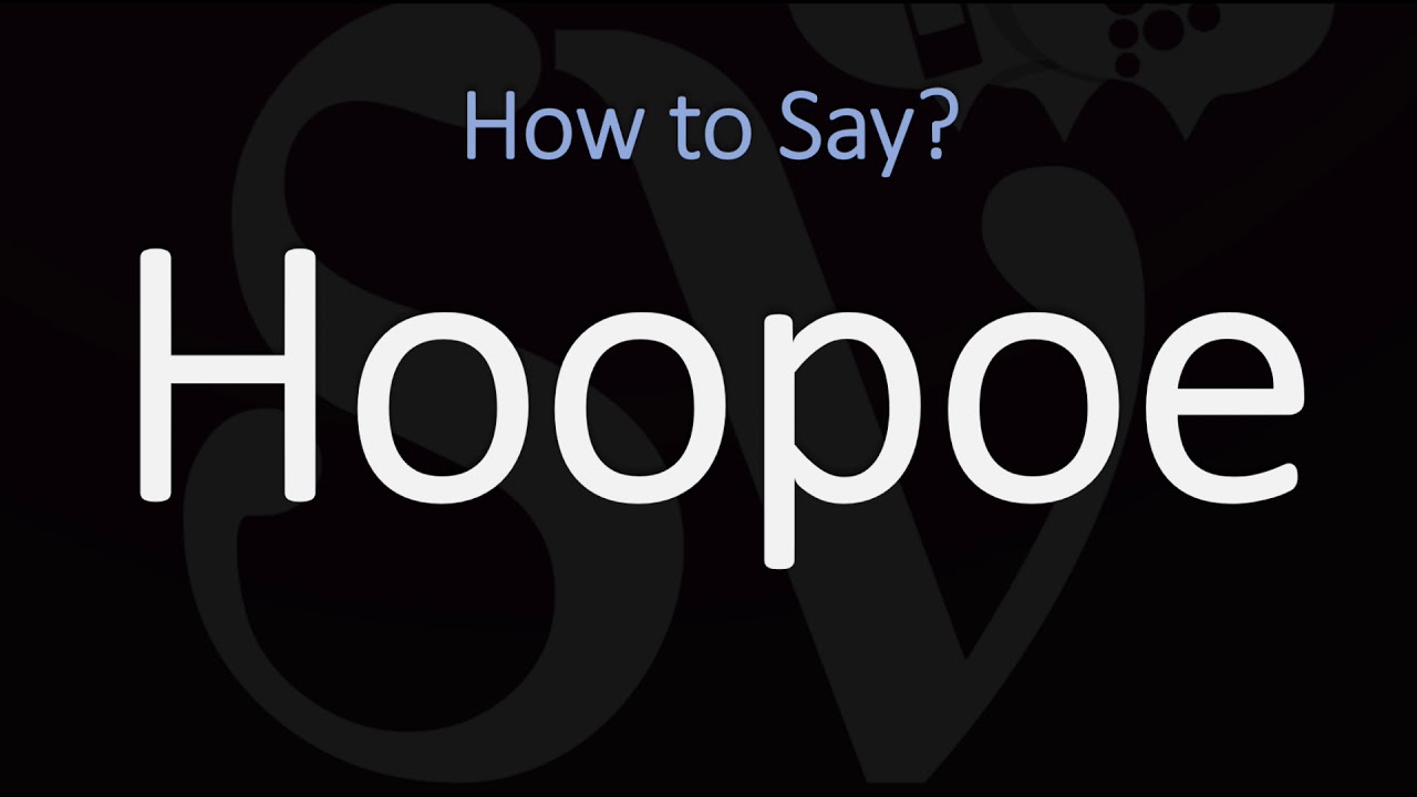 How to Pronounce Hoopoe? (2 WAYS!)