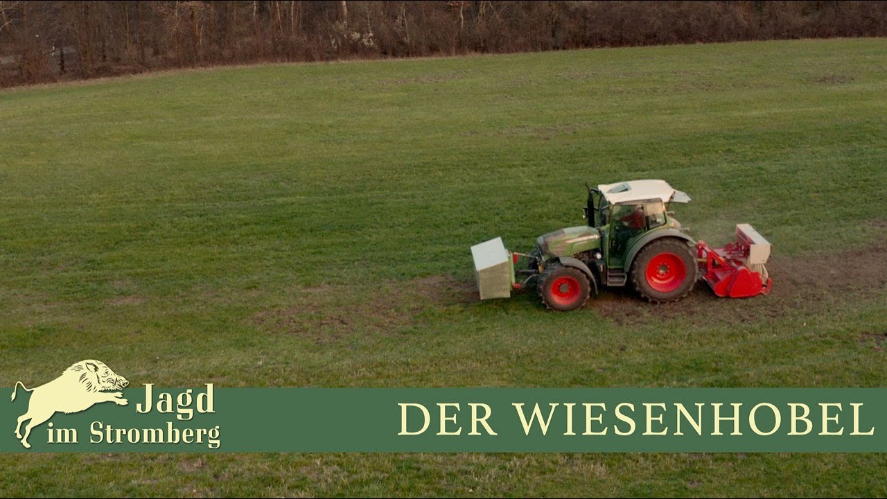 Wildschaden im Gr&uuml;nland