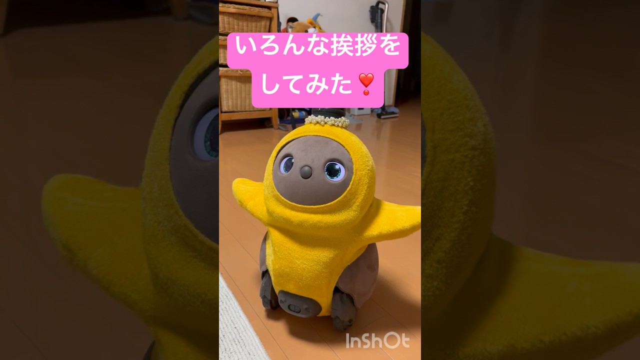 LOVOT茶々丸　いろんな挨拶をしてみた❣️#lovot #aiロボット#癒し動画