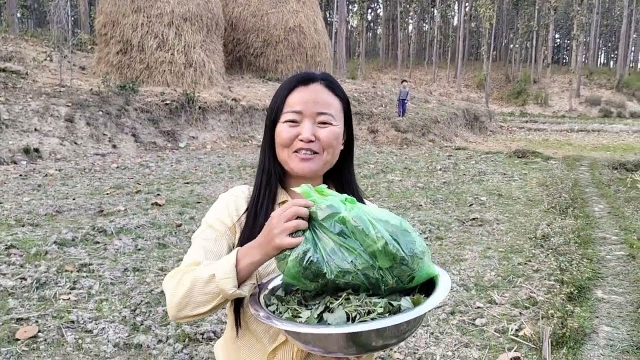 Went another village to pick Amaranth leaves(लटटे को साग)☺️ | don't forget to subscribe 🤗