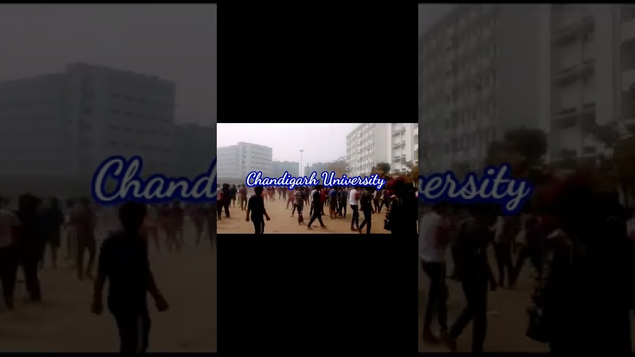 HOLI | HOLI IN CHANDIGARH UNIVERSITY | CHANDIGARH UNIVERSITY HOLI CELEBRATION |#chandigarh #shorts