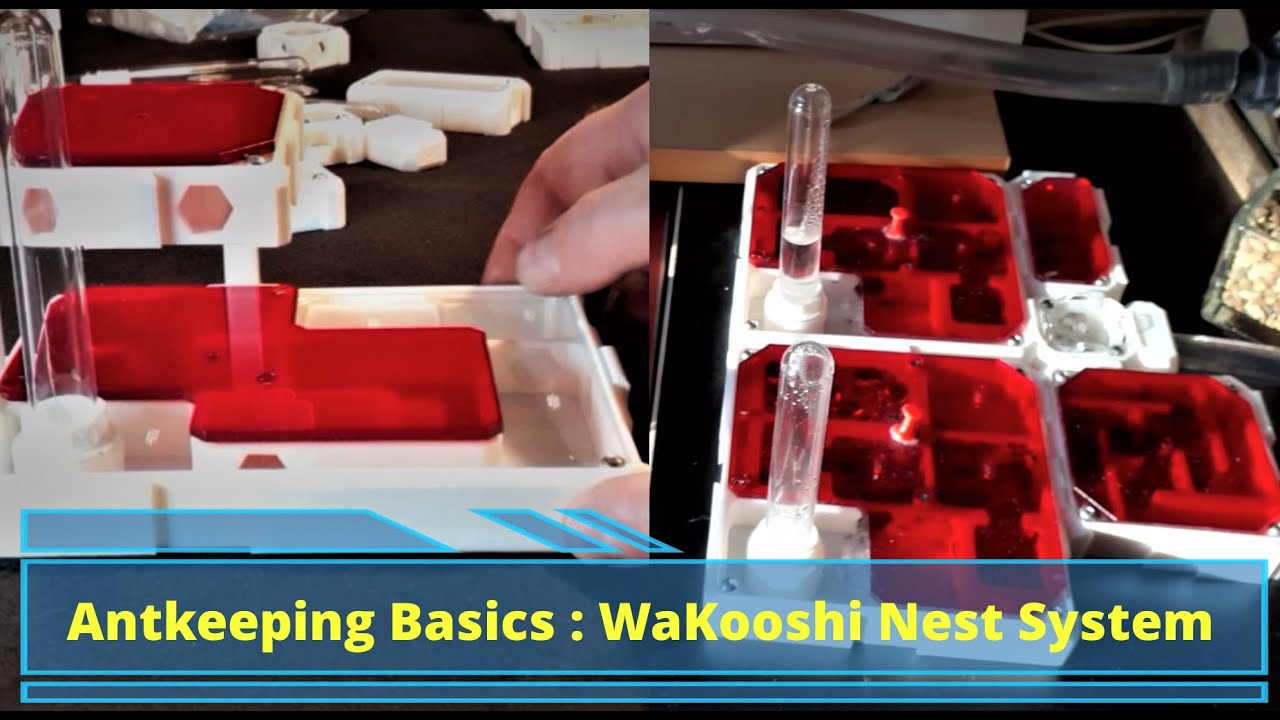 The Wakooshi Nestsystem