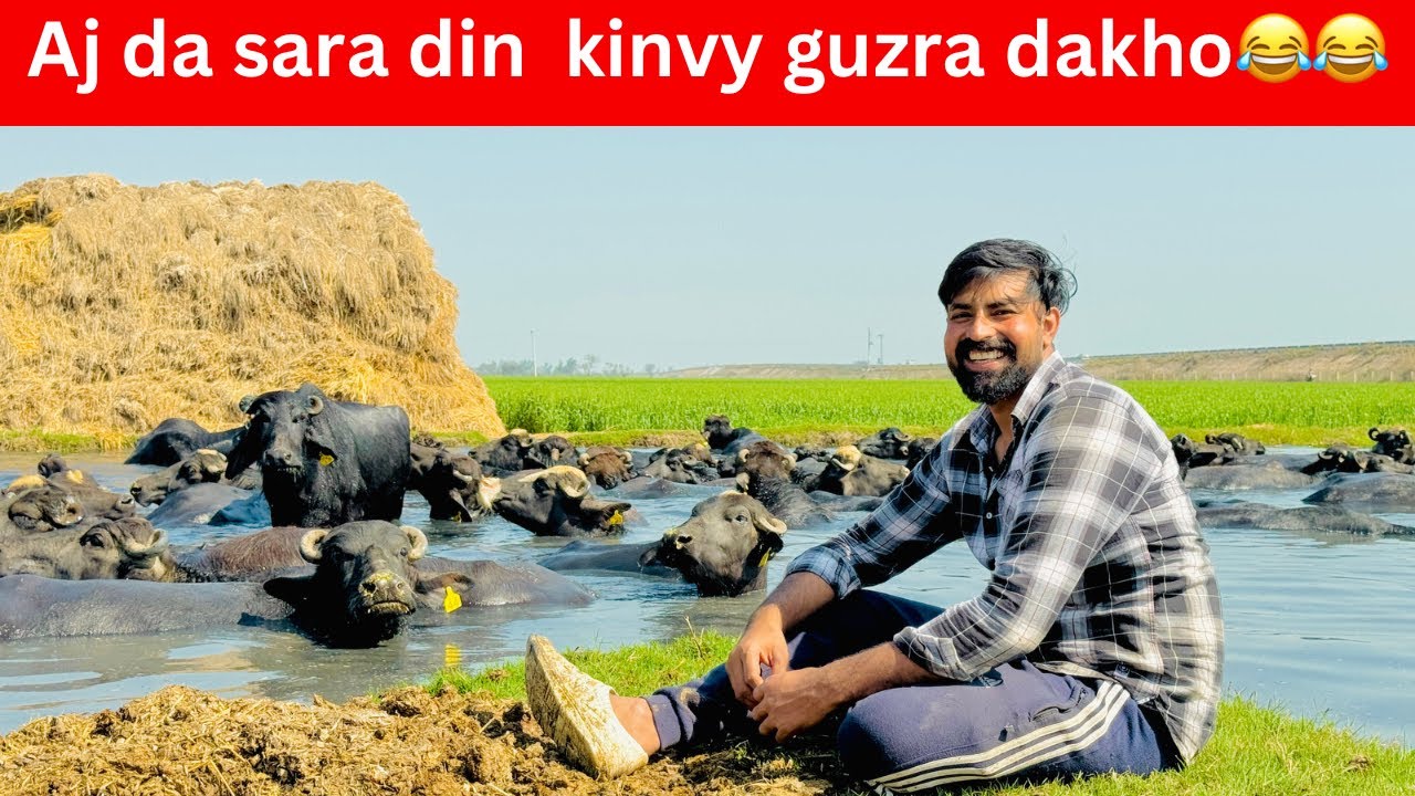 Sara din kam e ni mokda BAs kam karo kam karo kam karo😂