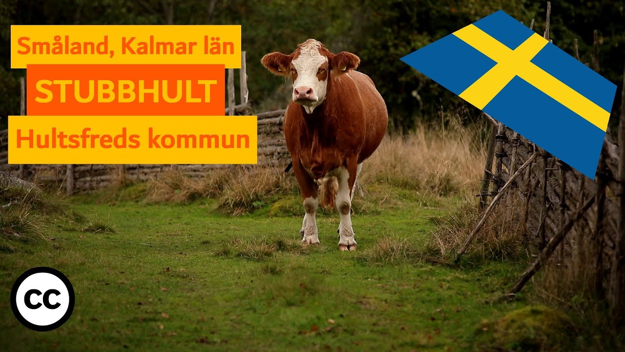 Ein Bauernhof in Småland | Stubbhult | Hultsfreds kommun | Schweden | Kalmar län | Indian Summer