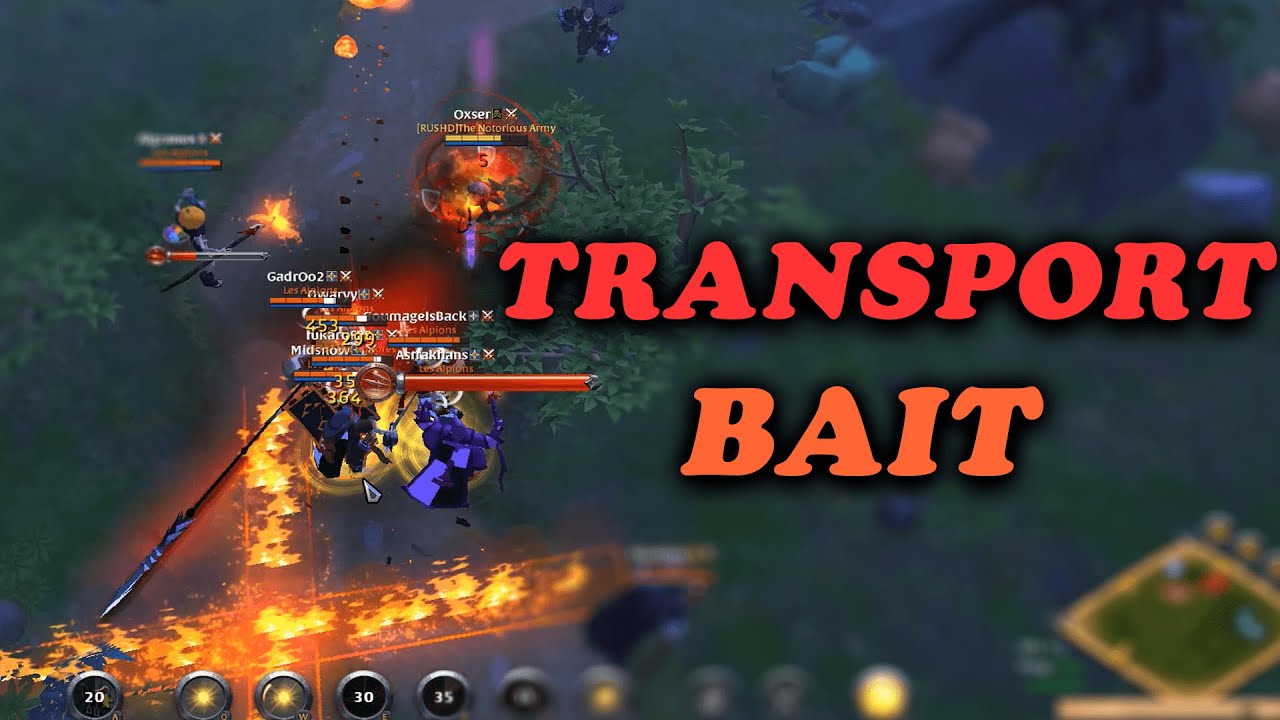 TRANSPORT BAIT  😈 BIG KILLS 😈 (Albion Online)