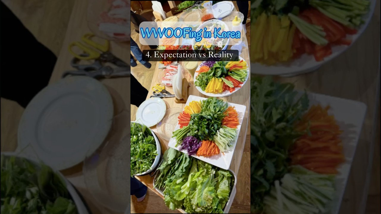 WWOOFing in Korea #4: Expectations vs reality