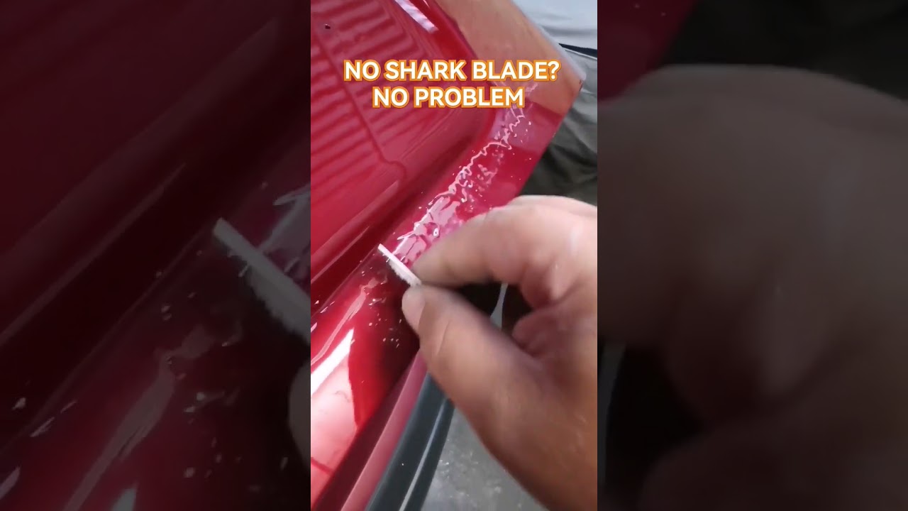 NO SHARK BLADE? NO PROBLEM #build #shark #blade #shorts #viral #fyp