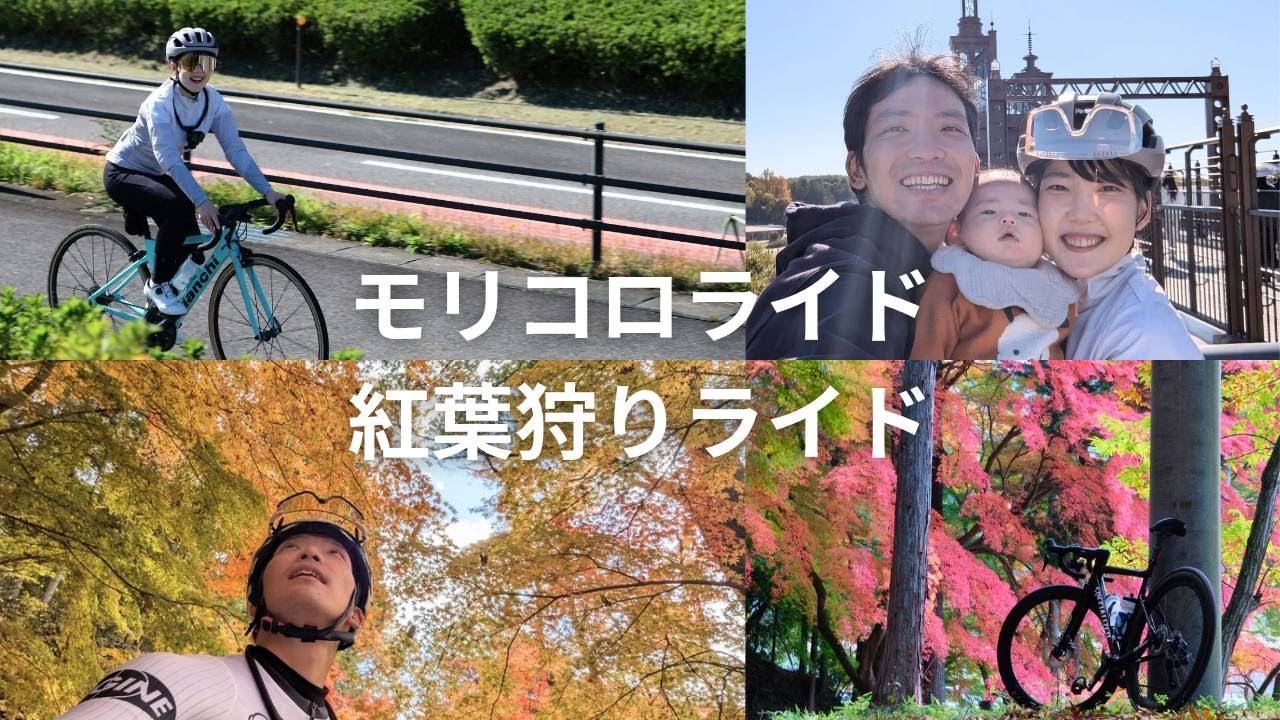 夫婦それぞれで紅葉ライドを楽しんできました～ジブリパークも曽木公園も香嵐渓もよい感じでした～　25Km+105km【夫婦 Vlog】