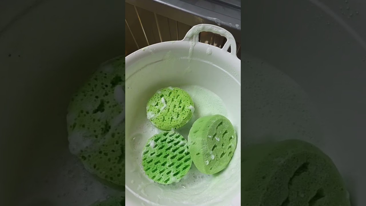 Green Suds 💚 Green Sponges