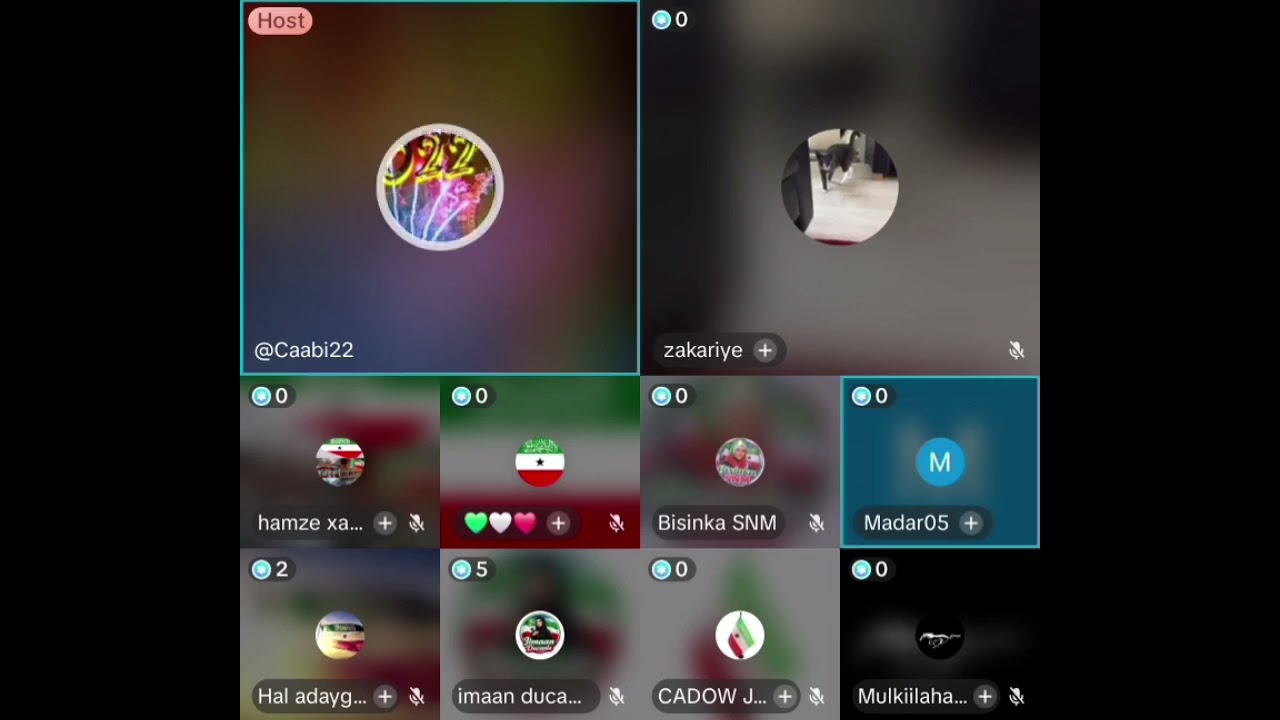 MASUQMASUQ XOGHAYAHA MAYARKU U KULA JIRA MADAMA HAL SAXEEX WADA LEYIHIN XUKUMAD QABYALAD WADA YAAB