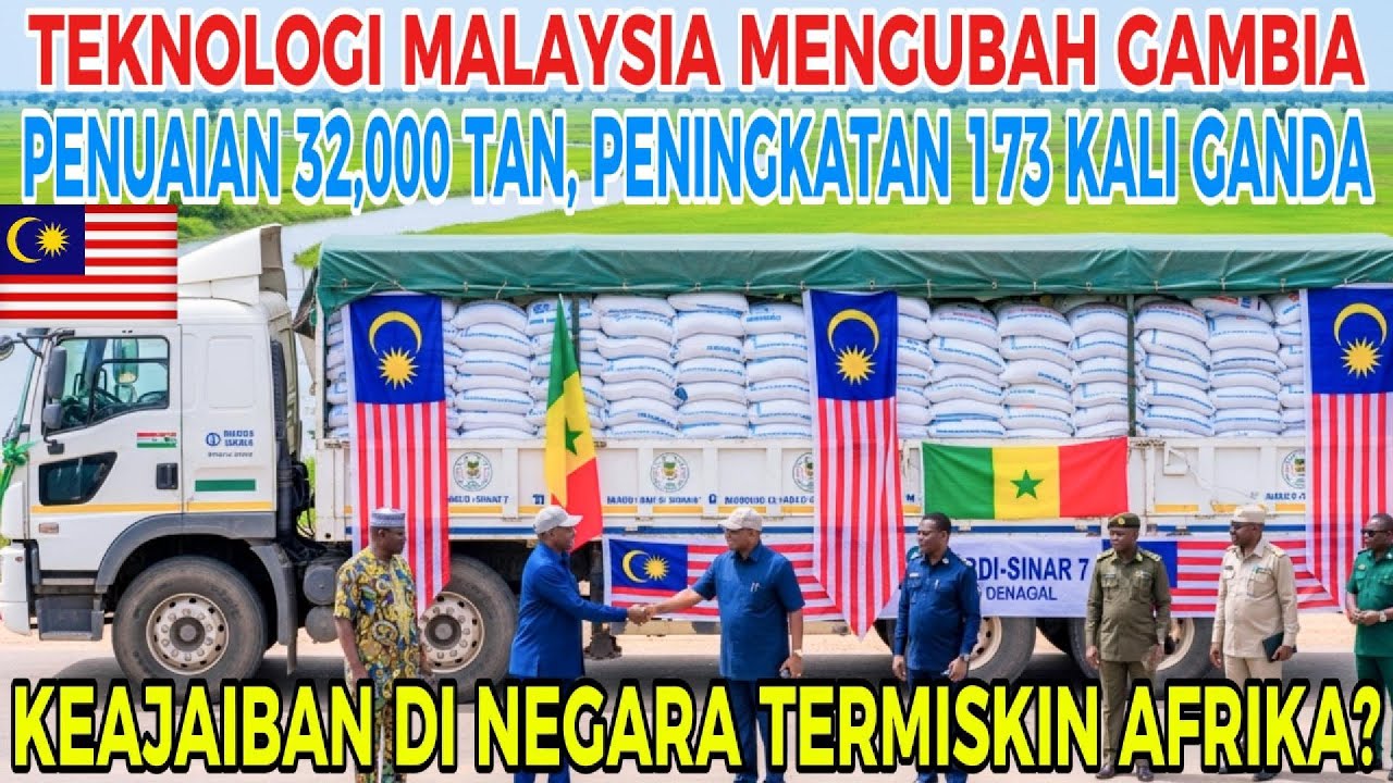 Padi di negara termiskin? Hasil tuaian mencecah 32,000 tan! Rahsia di sebalik Jalur Padi K: Gambia.