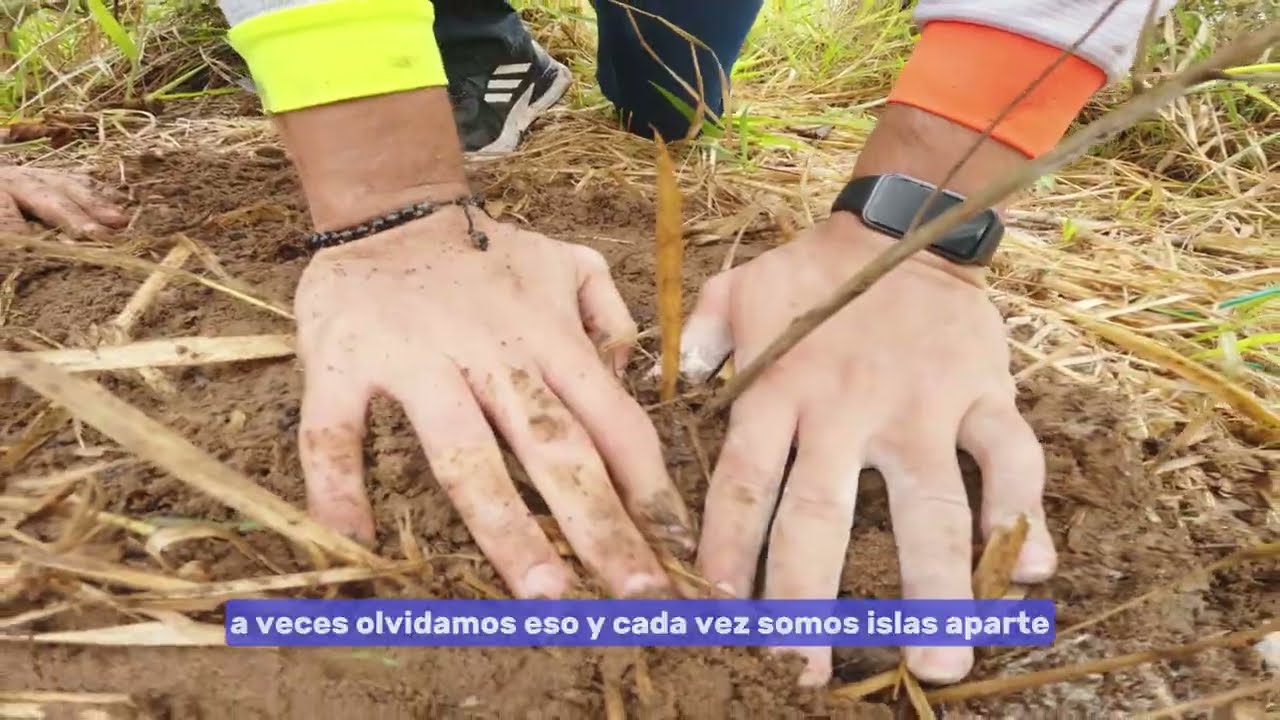 ¡Reforestemos el Guaviare! Sembrando Futuro y Esperanza