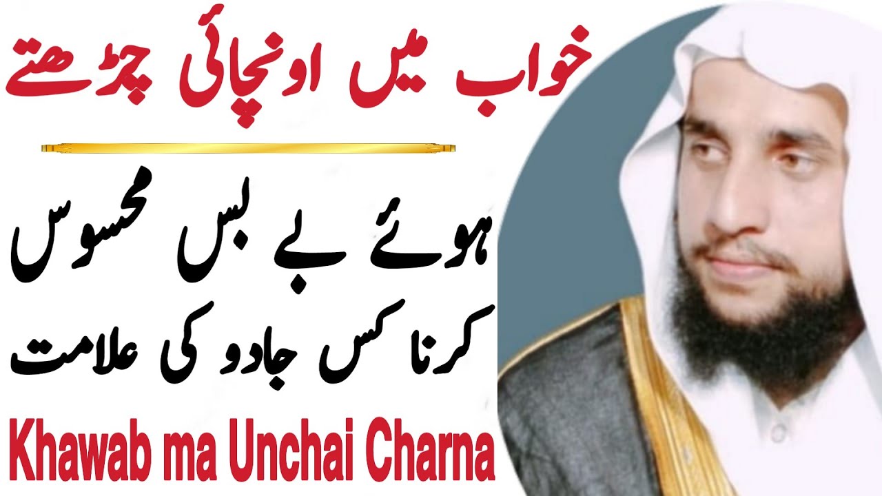 Seeing Youself Climbing in a Dream | QRI | QRI ISLAM | قاری عبدالباسط سلفی