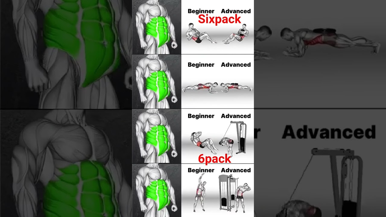 crunches, leg raises, planks, Russian twists, and bicycle crunc six pack four bist exercise