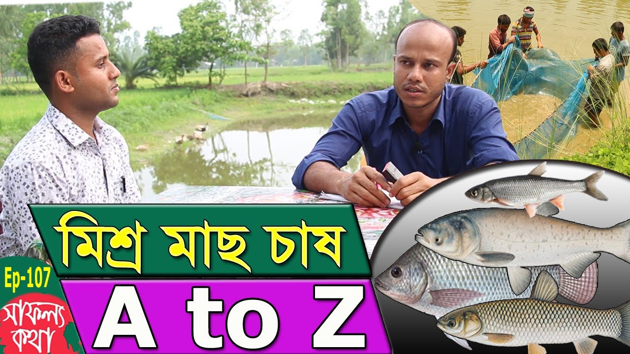 মিশ্র মাছ চাষ কিভাবে করবেন? A 2 Z প্লান | মাছ চাষ পদ্ধতি | Safollo Kotha Ep 107