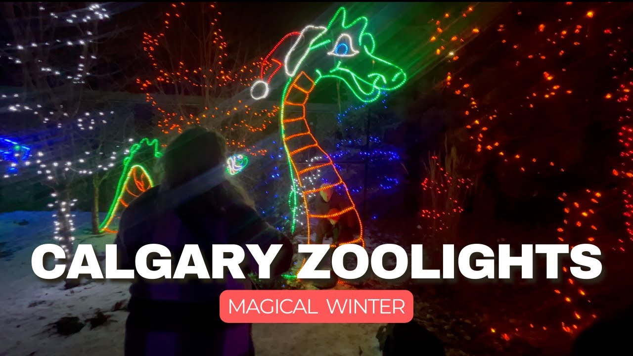 Calgary Zoo Nightlife What the Best Choice for a Fun Night Out #calgary #calgaryzoo #christmaslights