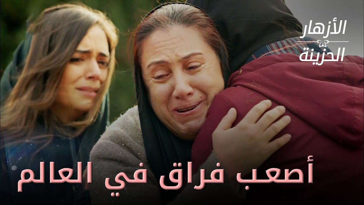أصعب فراق هو فراق الابن - مقتطفات من مسلسل الأزهار الحزينة