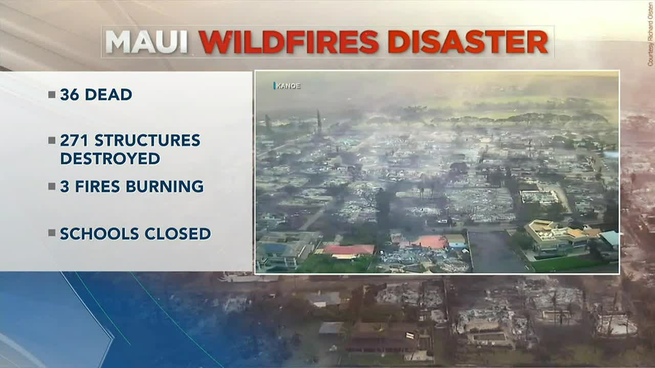 Search and recovery efforts continue in devastating Maui wildfires that left at least 36 dead