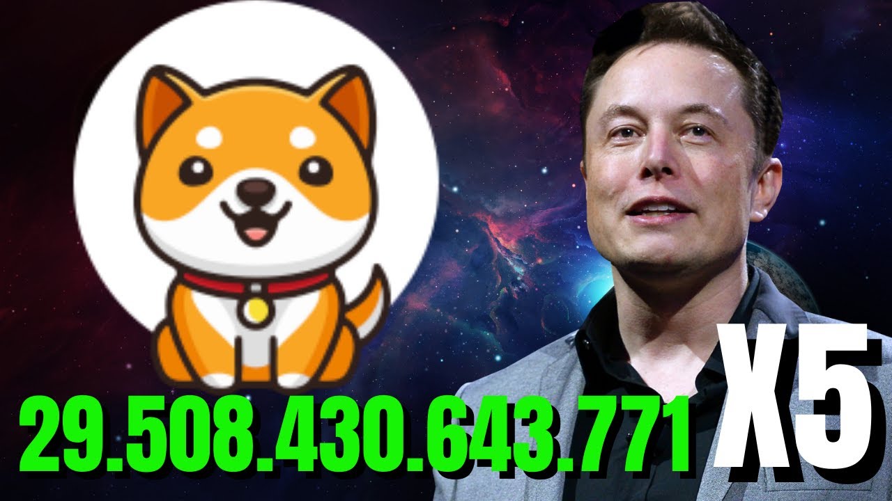 BABY DOGE COIN VOC&Ecirc; PODE N&Atilde;O ESTAR VENDO ISSO COM BABYDOGE