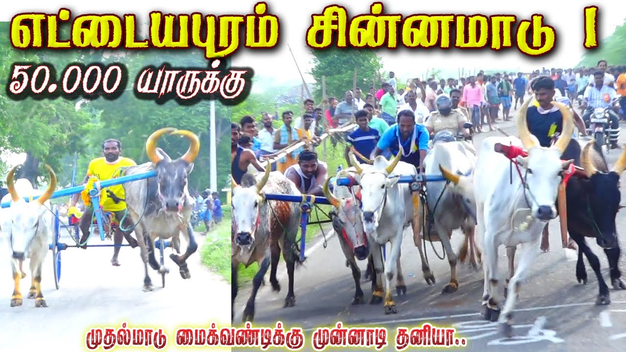 1தூத்துக்குடி மாவட்டம் எட்டையபுரம்  50,000 ஆயிரம் சின்னமாடு 1 பந்தயம் 1.12.2024