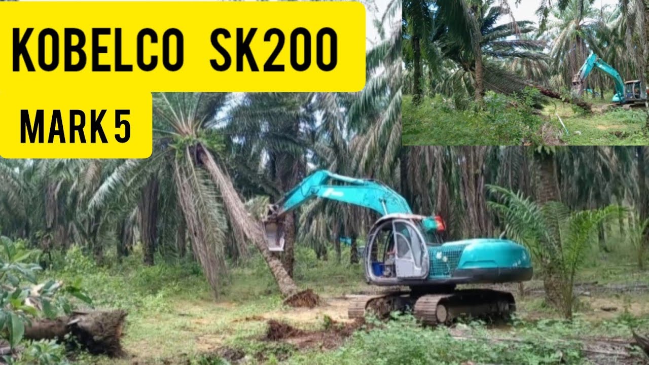 Cara chipping atau cincang pokok sawit.#kobelco #excavator