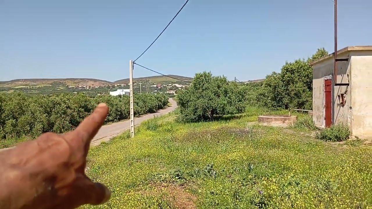 07/05/2025 قطعه ارضيه ميلكي عدليه فيها 8 اشجار الزيتون مساحه 800 متر ثمنها 3 مليون ونصف 0666467992