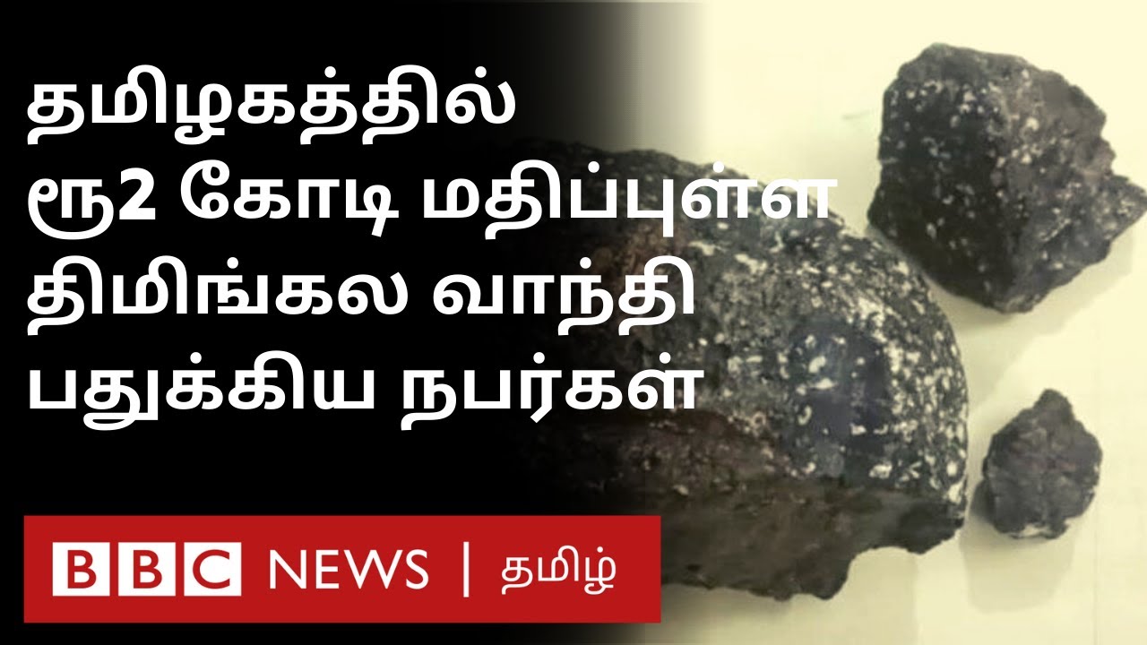 கடல் தங்கம்: திமிங்கல வாந்தியை பதுக்கிய நபர்கள் |  Ambergris-ன் மதிப்பு எவ்வளவு தெரியுமா?