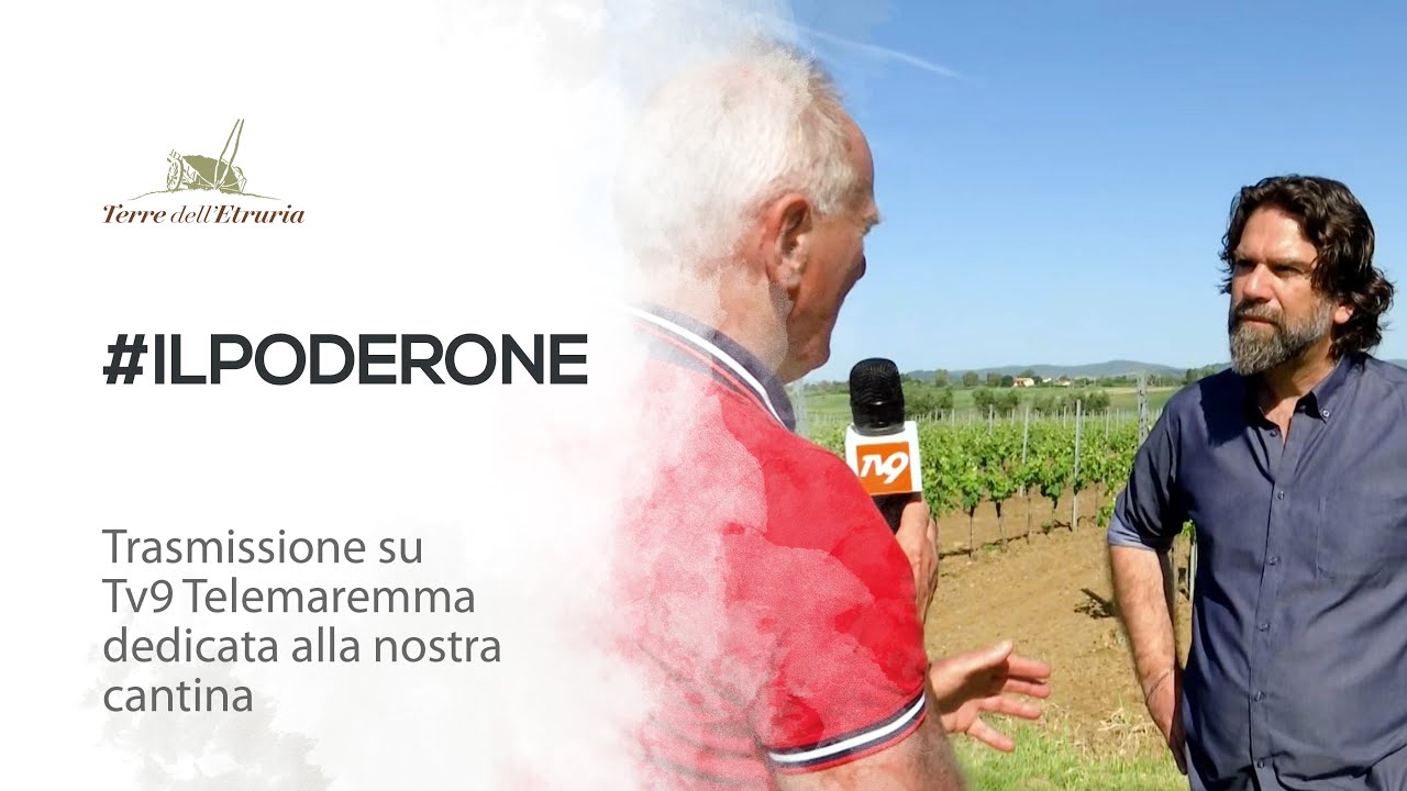 Il Poderone, la cantina di Terre dell'Etruria