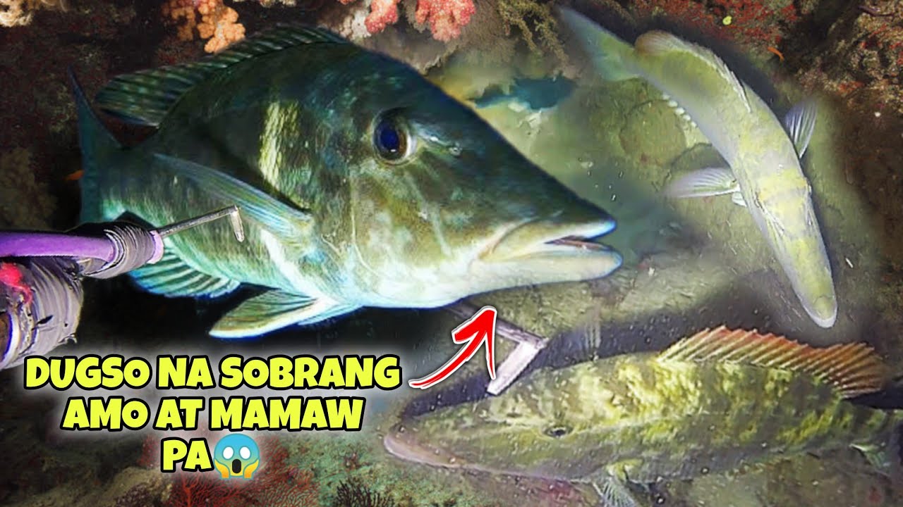 eps.394 10.14 LBS DUGSO NA SOBRANG AMO AT MAMAW PA😱 