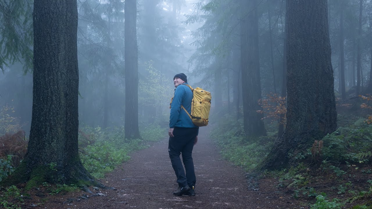 AMAZING Woodland photography conditions using the Nikon Z8