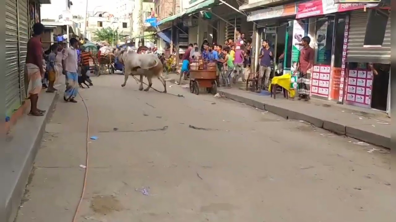 Cow attack to man🙂🙂