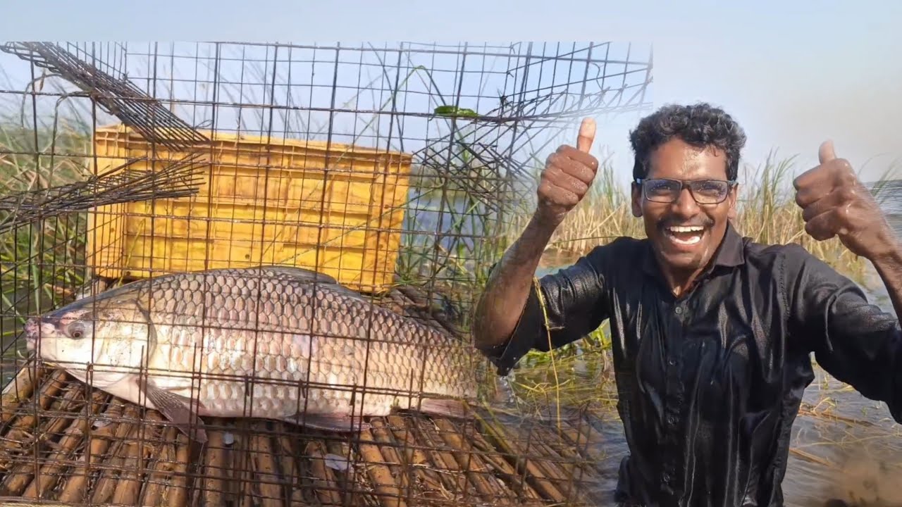 🐠వరుసగా మన బోనులుకి  పెద్ద చేపలు పడుతున్నాయండోయ్.| Natural fishing Big fish | Krupa Hanok Fishing.
