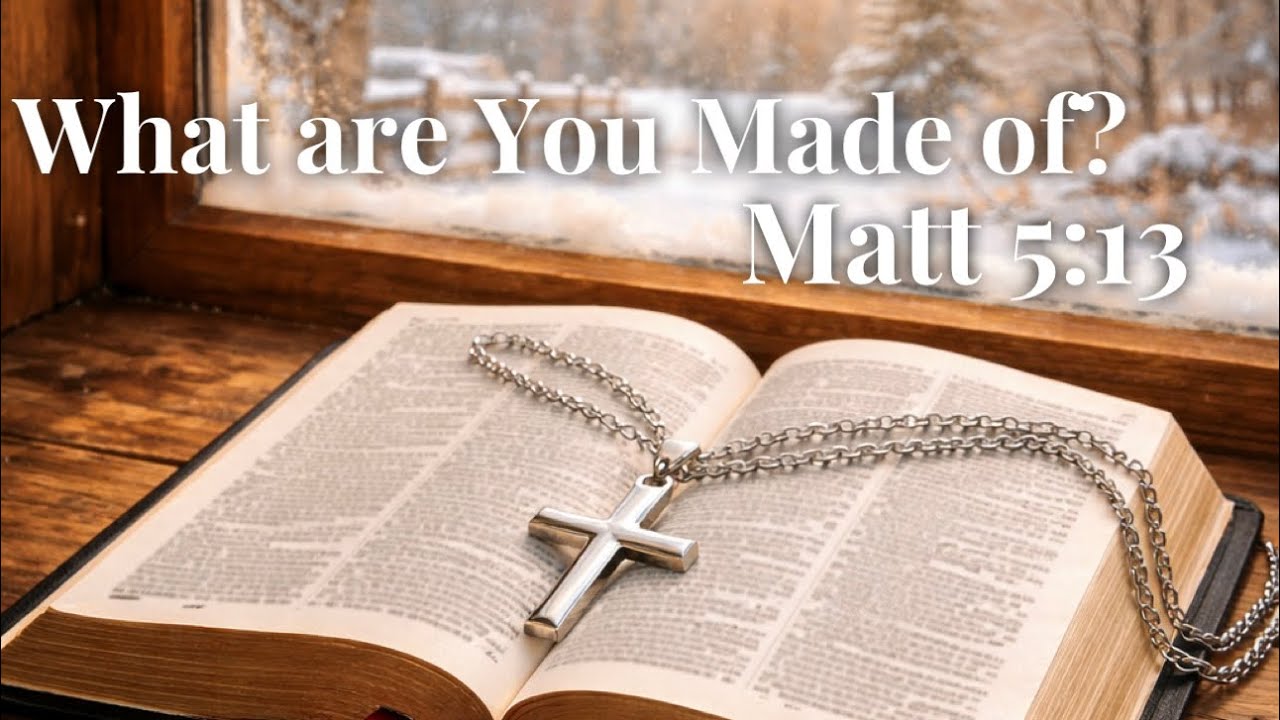 What Are You Made Of?