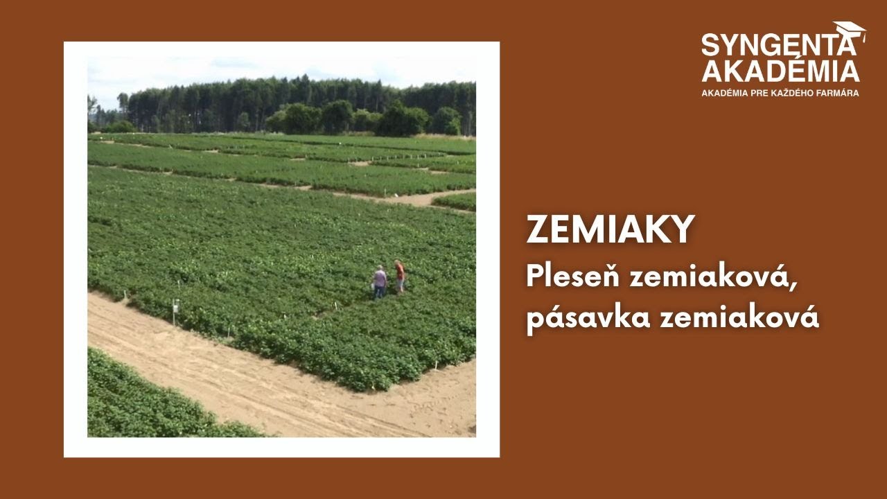 Akad&eacute;mia zemiaky, 3.časť | Syngenta Slovensko