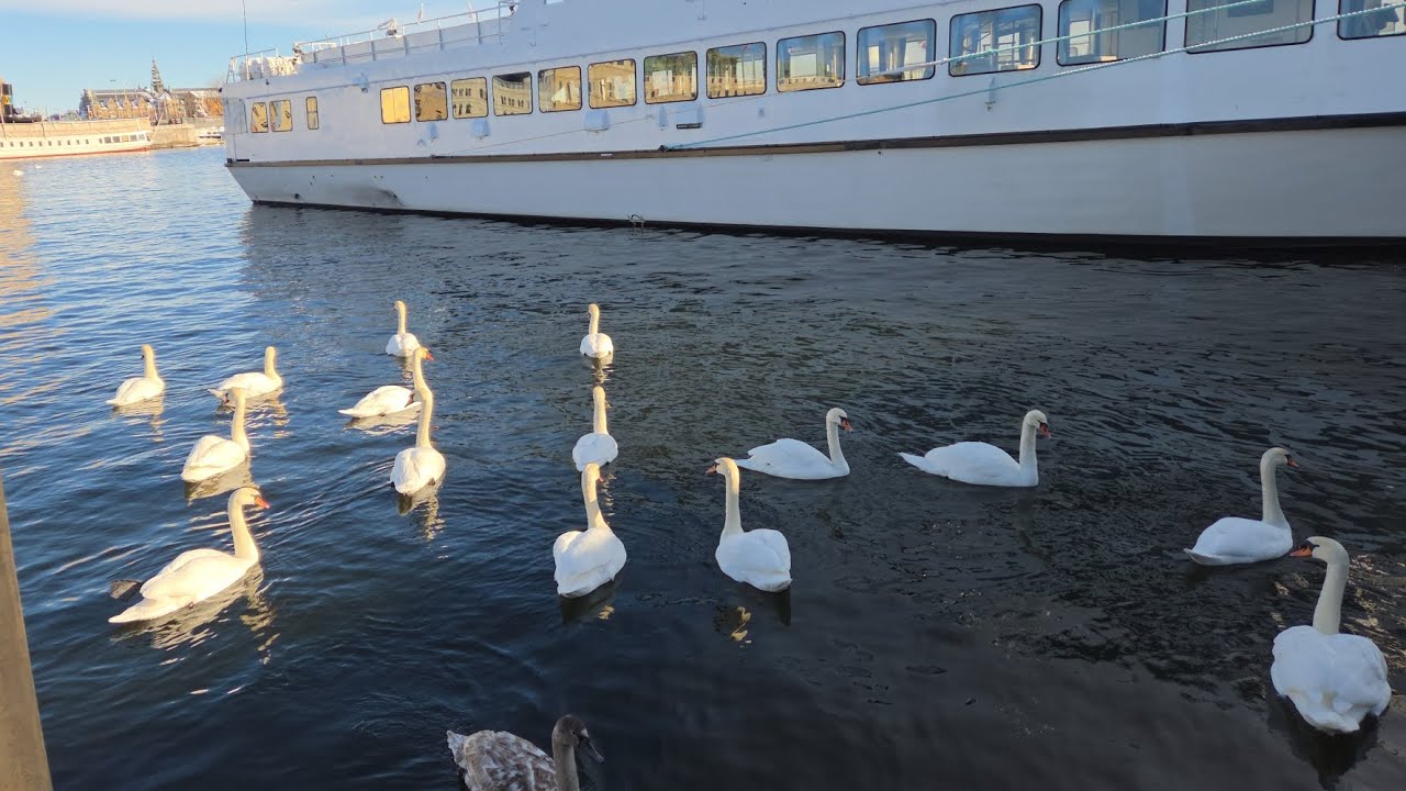 Cold weather Sweden 