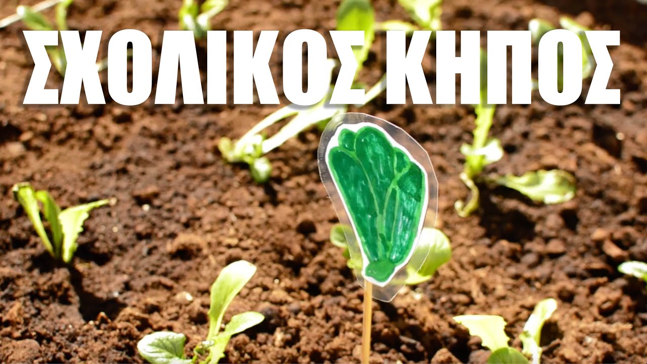 Σχολικός κήπος Πλακιά part #1