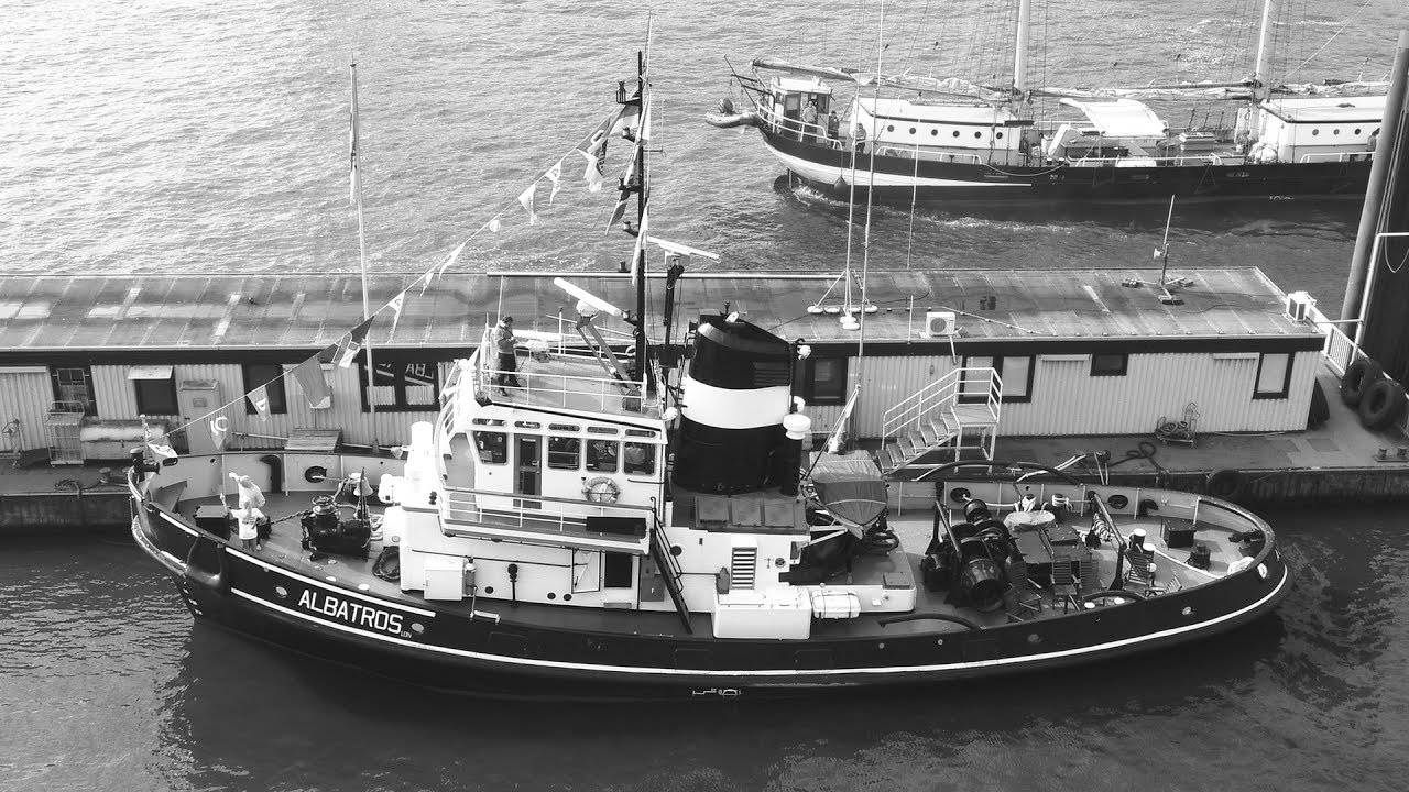 Albatros Hamburg 2017