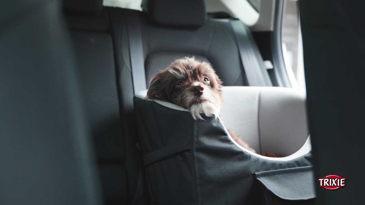 Transporting your dog in the car with our car seat &ndash; TRIXIE Heimtierbedarf