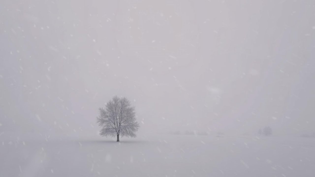 1 Hour sad music 'Winter Tree'