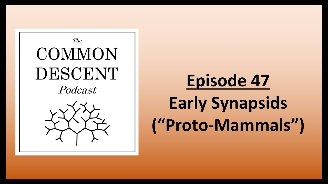 Episode 47 - Early Synapsids (