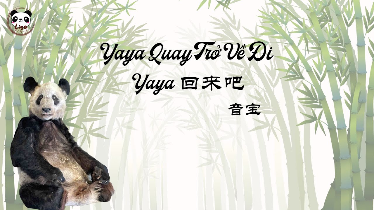 [Vietsub|Pinyin] Yaya quay trở về đi (Yaya 回来吧)- Âm Bảo