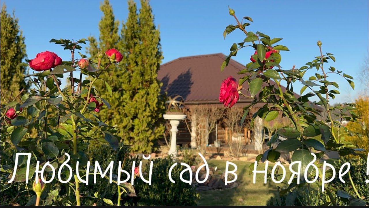 Большая прогулка по саду. В ожидании снега. Ландшафт своими руками. Обзор садового пространства!