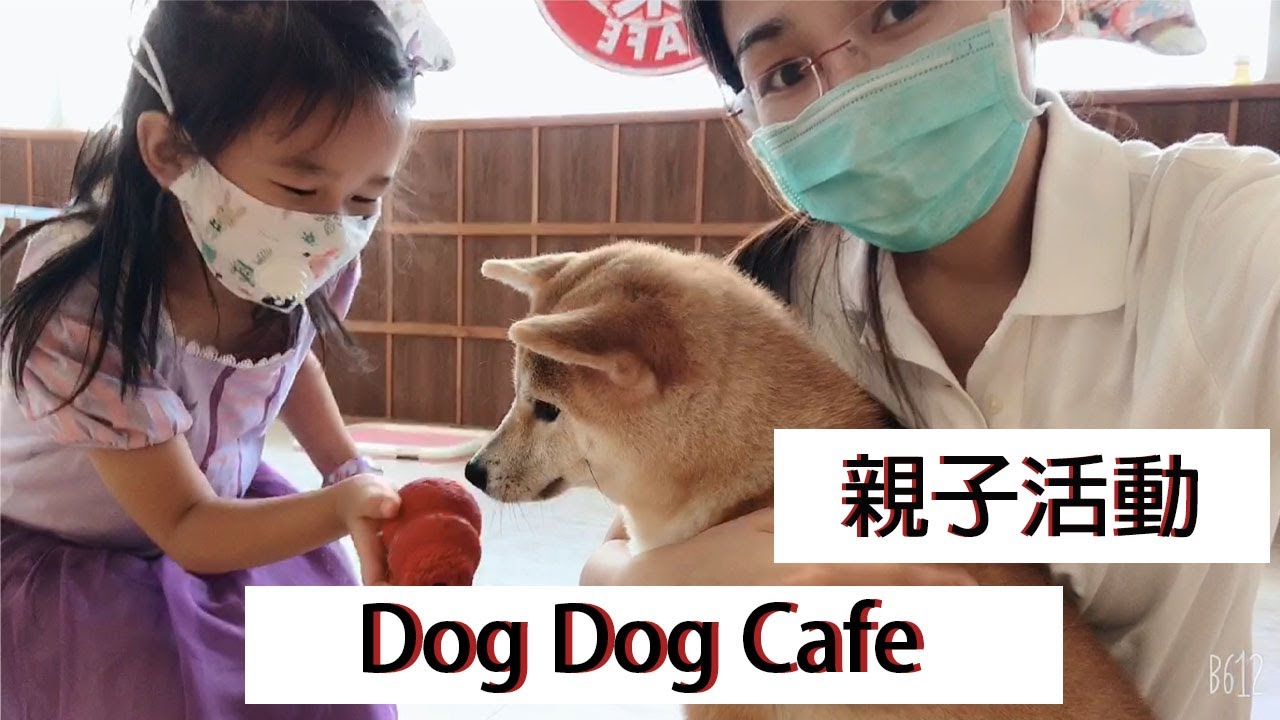 親子活動 狗狗CAFE  鬧市中一間充滿可愛狗的地方 一個可以近距離接觸狗的地方