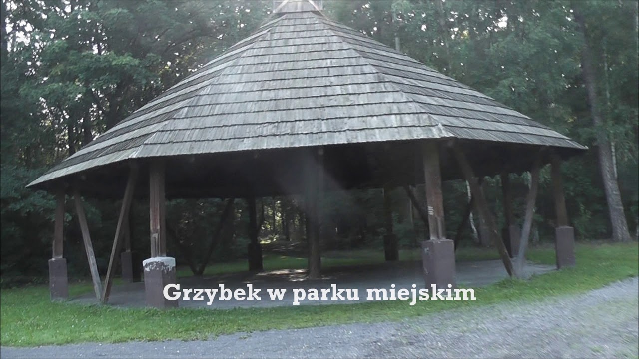 Lubliniec