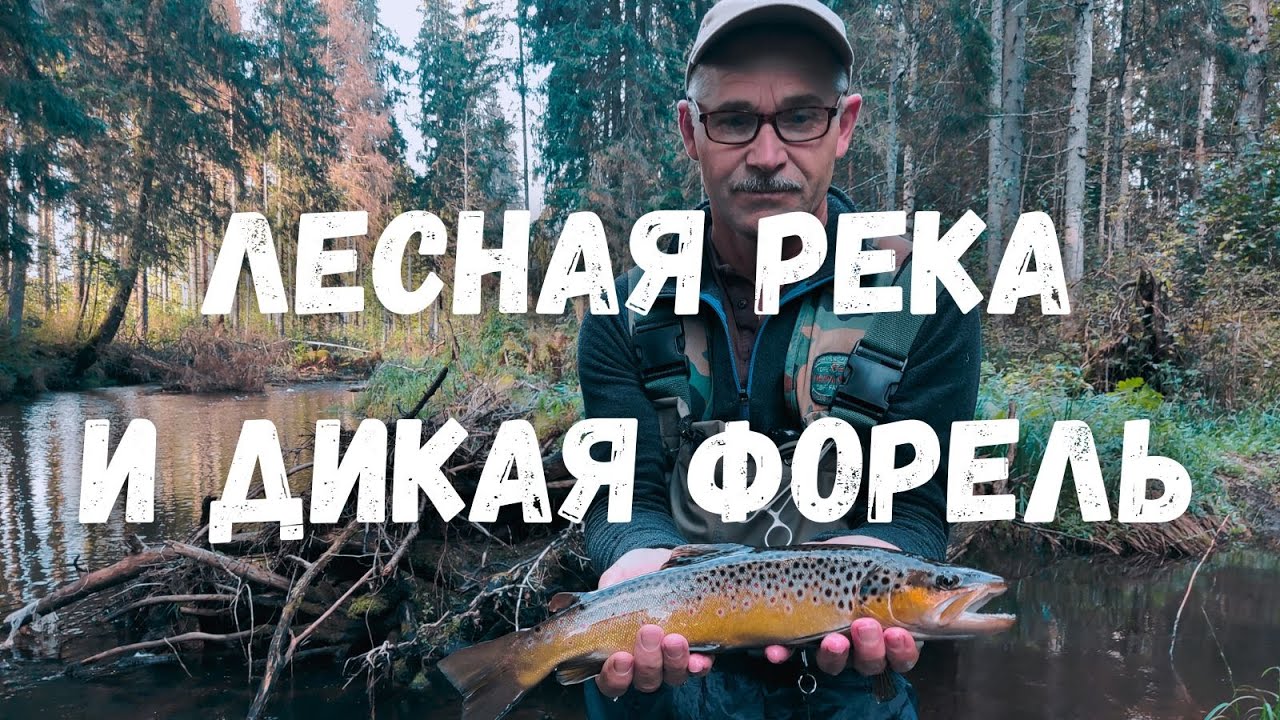 Когда твои навыки рыбака под сомнением, но форель все равно клюет!)