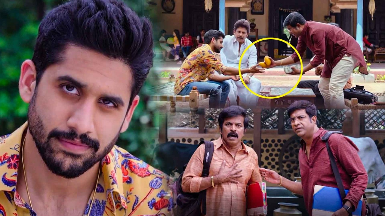 Naga Chaitanya, Vennela Kishore & Brahmaji Telugu Hilarious Comedy Scene || Kotha Cinema