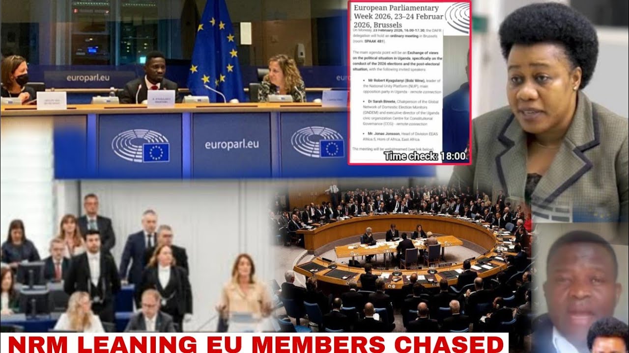 H.E Bobi Wine to EU Parliament and Security Council. AU NRM Supporters Chased. Sarah Birette added