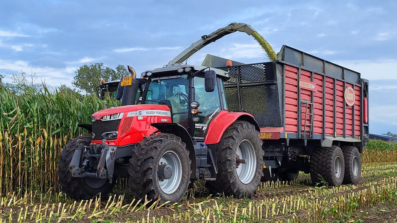Mais silage 2023 | Claas Jaguar 940 + Massey Ferguson | Van Helmond