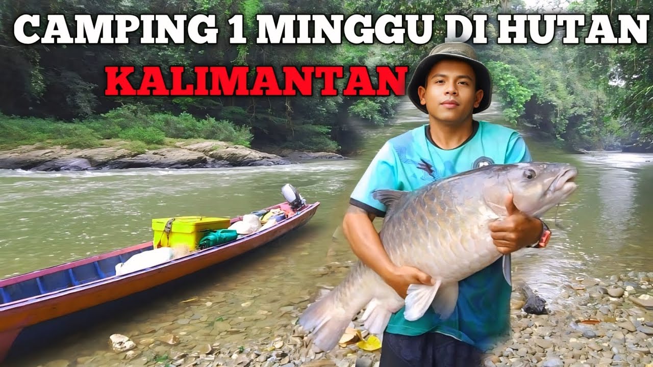 Camping Fishing 1 Minggu hujan Deras dapat Ikan mahseer besar pertualangan bermalam di hutan